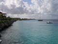 View along coast from Buddy Dive